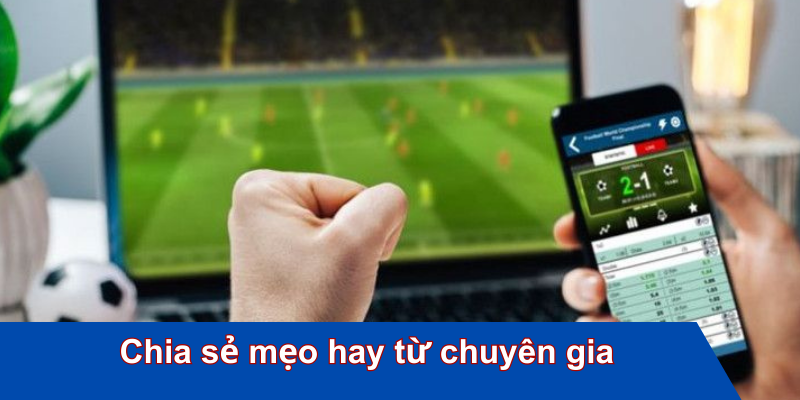 Chia sẻ mẹo hay từ chuyên gia cá cược theo tỷ lệ odds