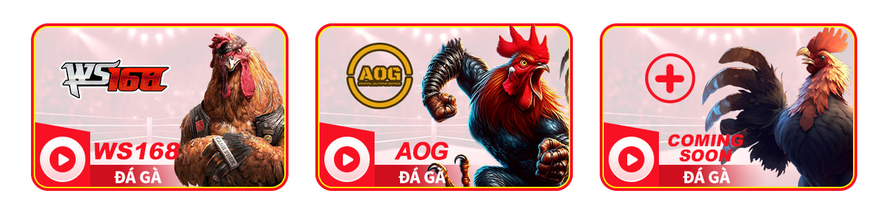 đá gà
