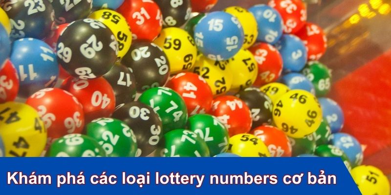 Khám phá các loại lottery numbers cơ bản