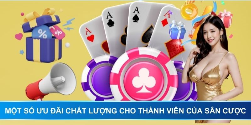 Một số ưu đãi chất lượng cho thành viên của sân cược