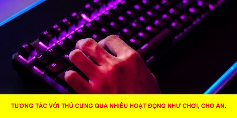 Mẹo Hay Khi Chơi My Boo